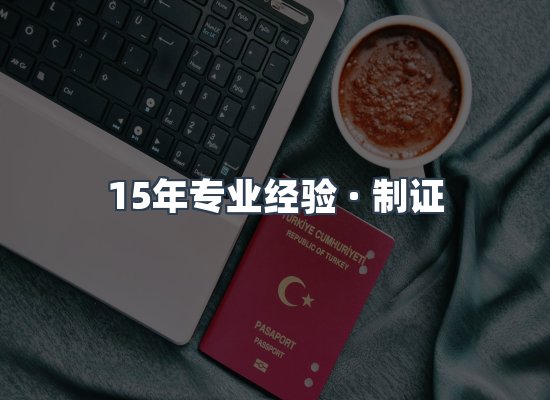 证件页面制证展示